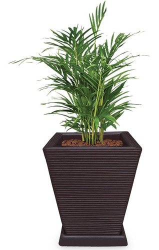 1 Vaso + Prato P/ Planta Rafia Bambu Lirio Palmeira  Q 45x35