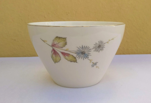 Tazon Bowl Porcelana Hartford Antiguo Usado Excelente