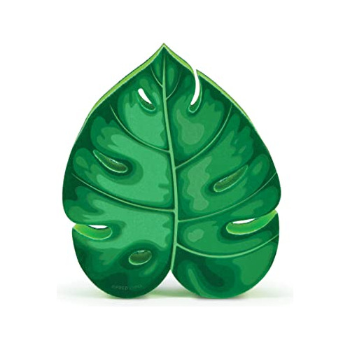 Esponja De Cocina Monstera,