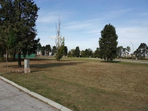 Imagen 4 de 10 de Lote Venta