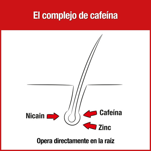 Shampoo Alpecin Cafeína C1 Anticaída 250ml