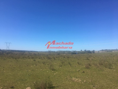 Imagen 3 de 4 de Venta De Chacra En Maldonado