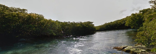 Terreno En Venta Tulum ¡un Buen Motivo Para Invertir En La Riviera Maya!