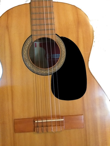 Imagen 2 de 3 de Golpeador Para Guitarra Acústica Pickguard Diseño Starndard
