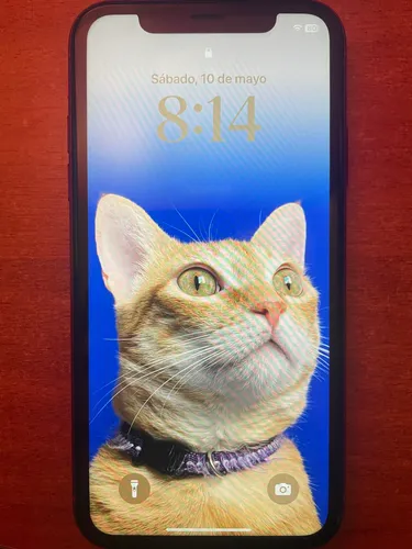 Apple iPhone XR Único Dueño En Excelente Estado Barato (Usado)