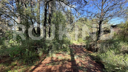 Imagen 14 de 27 de Terreno En Venta Salazar, Estado De México