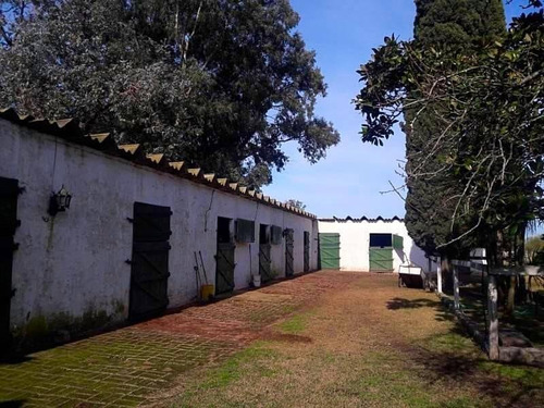 Imagen 20 de 30 de Venta Hermosa Chacra Haras Con Casco Y Mejoras En San Miguel Del Monte