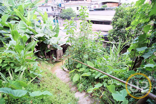 Lote / Terreno Em Padre Eustáquio - Belo Horizonte, Mg - 8601