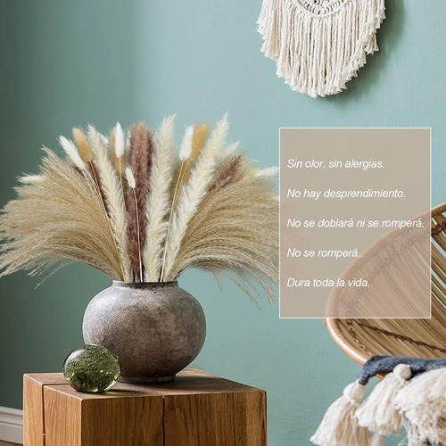 Hi, 100 Pcs Pampas Secas Plantas Decorativas Flores