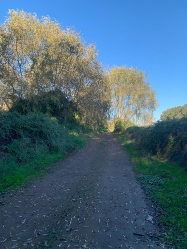 Excelente Parcela De 6000 M2 A Pocos Minutos De Talca