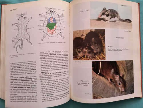 Zoología Las Ciencias Naturales 1a Ed 1979 (Usado)