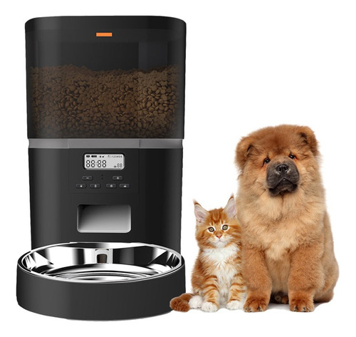 Dispensador Automático De Alimento Para Perros Y Gatos