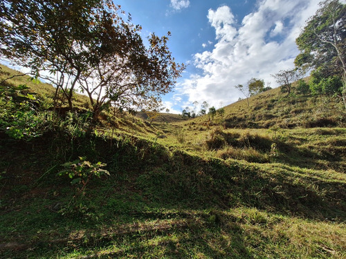 Sitio A Venda; 3.5 Alqueires De Terra No Sítio Tem Mina De Á