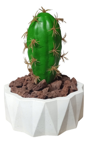 Cactus Artificial Maceta De Cemento Blanco