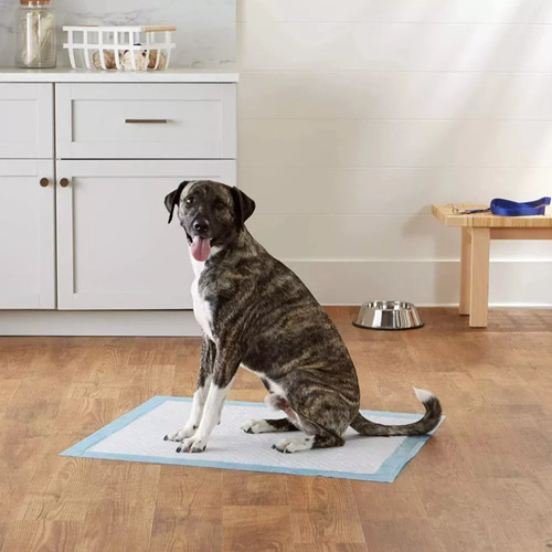 Sabanillas Baby Pets 100unid 60x60