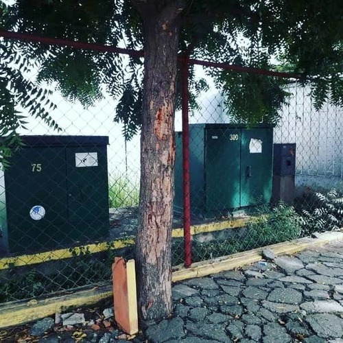 Imagen 18 de 26 de Leal Pérez Vende Bomba De Gasolina En Puerto Cabello