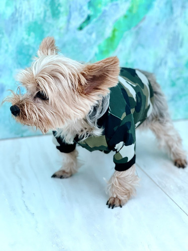 Imagen 2 de 8 de Suéter Para Perro Military