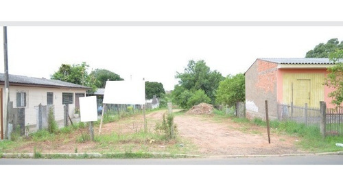 Imagem 7 de 15 de Terreno - Estancia Velha - Ref: 50998 - V-50998