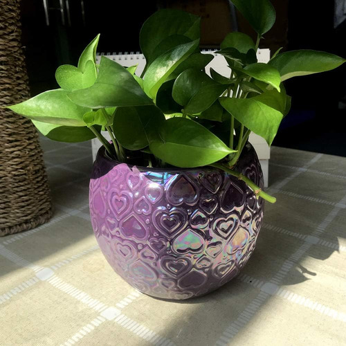 Better-way Maceta Morada De 6.0 In Para Plantas De Interior,