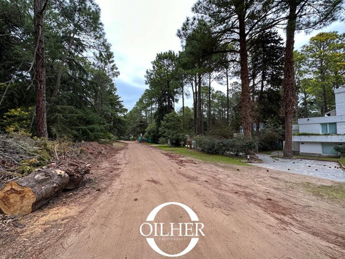 Lote En Venta! Zona Golf Ubicado En Cariló. Ñandu Y Gomero.