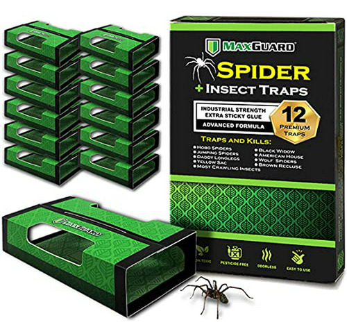 Trampas Maxguard Para Arañas E Insectos