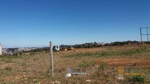 Imagem 4 de 6 de Terreno À Venda, 345 M² Por R$ 150.000,00 - De Lazzer - Caxias Do Sul/rs - Te0105