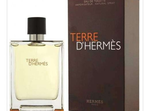 Perfume Terre D' Hermés Eau De Toilette 100ml Masculino