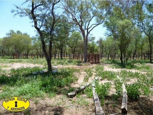 Imagen 3 de 13 de 0622hp-venta Campo Talavera Salta