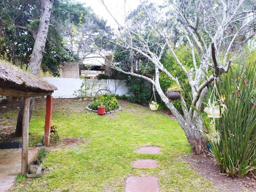 Imagen 11 de 15 de Alquilo Casa La Paloma Rocha A 3 De La Playa