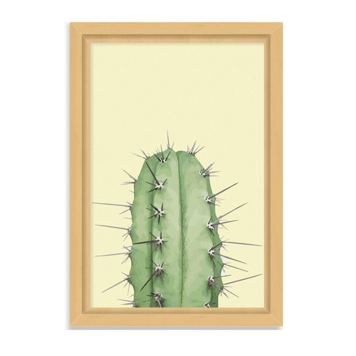 Cuadros Hogar 40x50 Box Natural Punta Del Cactus