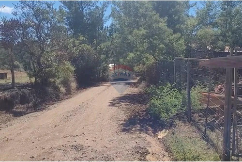 Parcela En Yumbel-rere,sector Santa Rosa