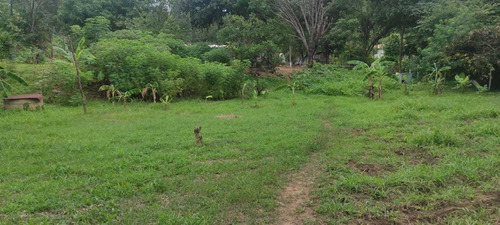 Imagen 7 de 12 de En Venta Parcela En Parapara De Ortiz