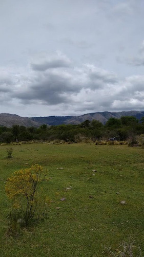 Imagen 2 de 4 de Se Vende Campo En Nono
