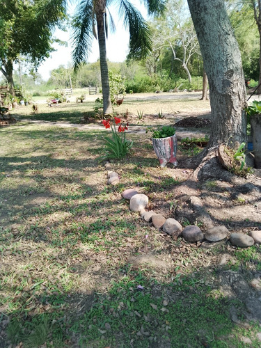 Quinta