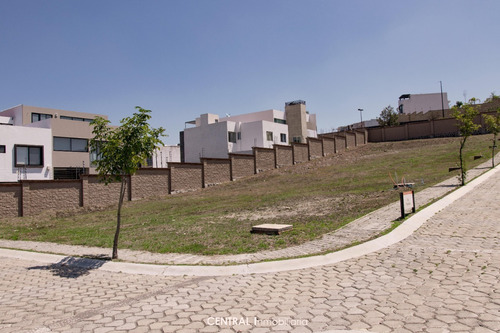 Imagen 7 de 11 de Terreno En Venta Lomas De Angelópolis 313m2 A $7,300 El M2