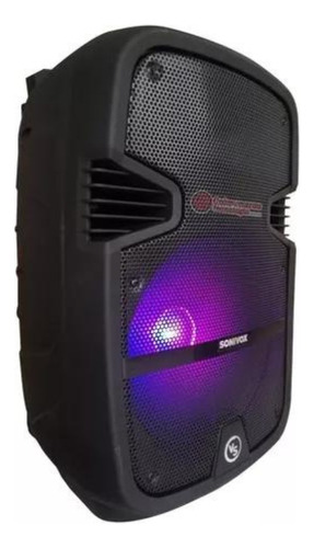 Cabina De Sonido Profesional 12in Sonivox Profesional Vs2285