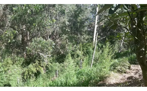 Lote En Venta En Rionegro, Sector De Llanogrande
