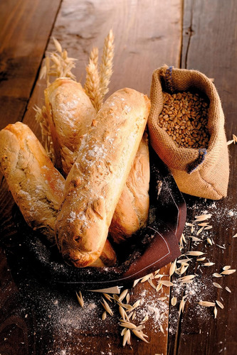 Panetera Baguettera Moulinex Recetario Panes Masas 1,5 Kg.