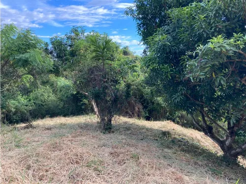 Vendo Lote En Anapoima