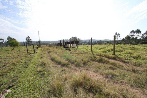 Imagem 20 de 30 de Sítio Com 5 Dormitórios À Venda, 100000 M² Por R$ 1.500.000,00 - Zona Rural - Ibiúna/sp - Si0045