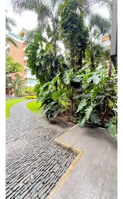 Apartamento en alquiler
