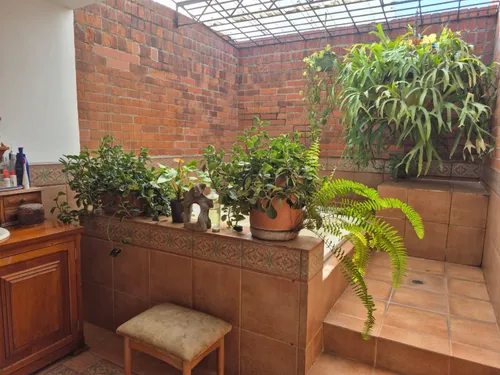 Apartamento En Arriendo En Juanambú. Cod A11609