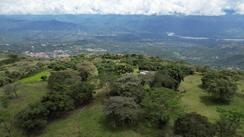 Venta De Lotes En Sopetran (tierra De Frutas)