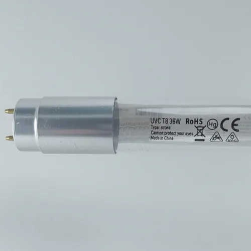 G36t8 2024
