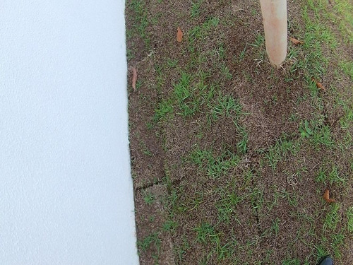 Imagem 4 de 30 de Macafé, Casa Linear, Com 2 Quartos 1 Suite, Sol Da Manhã, Piso Cerâmico, Janelas Em Blindex, Pias E Bancadas Em Granito Verde Ubatuba, Telhado Colonial, Terreno Com 150 M², Murado - Ca00200 - 32209136