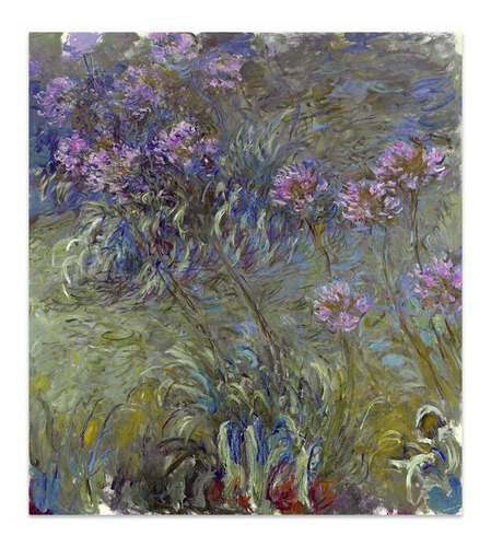 Cuadro Canvas Agapanthus Claude Monet 45x50 M Y C