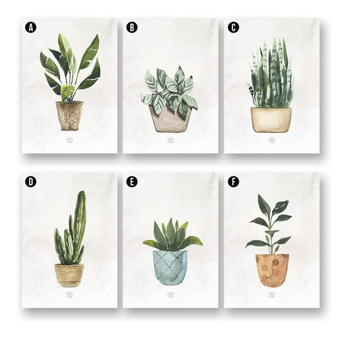 Imagen 8 de 10 de Set De 3 Cuadros (3 A4) Diseños Macetas Plantas A Elección