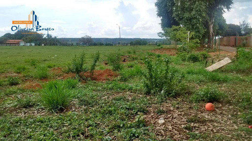 Imagem 17 de 17 de Terreno À Venda, 11000 M² Por R$800.000,00 - Zona Rural (joanápolis) Go - Te0409