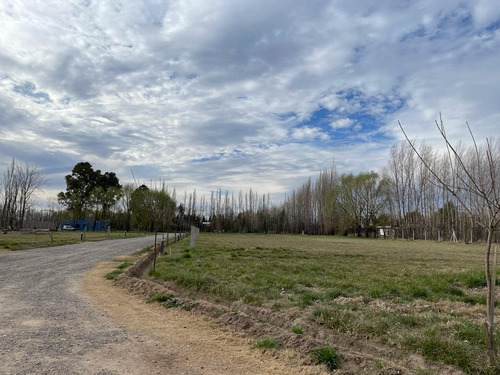 Lote En Venta Barrio Las Patricias, General Roca, Río Negro