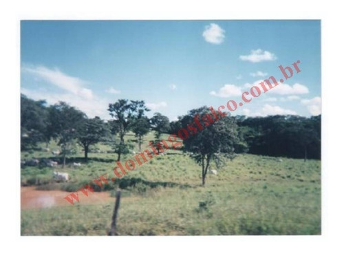 Imagem 6 de 24 de Venda - Fazenda - Zona Rural - Pirapora - Mg - D0342